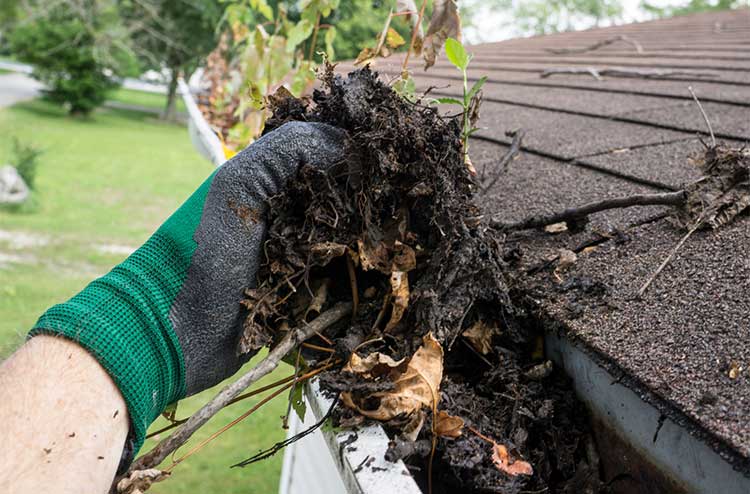 westchester county gutter guard cleaning